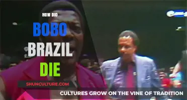 The Tragic Passing of Wrestling Legend Bobo Brazil: What Happened?