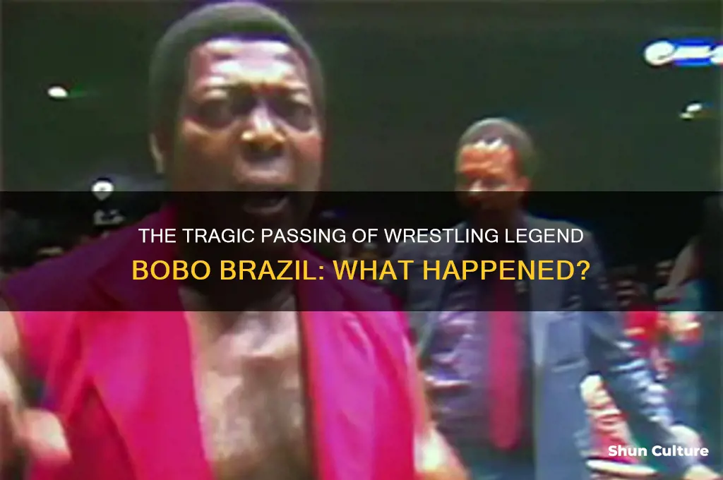 how did bobo brazil die