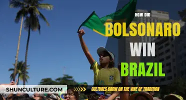 Bolsonaro's Rise: Unraveling the Factors Behind Brazil's Election Upset