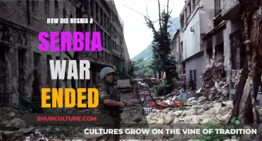 The End of the Bosnian War: Peace Accords and Aftermath