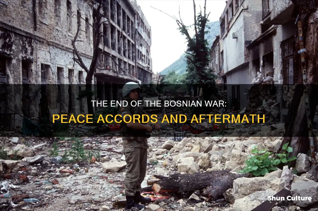 how did bosnia & serbia war ended