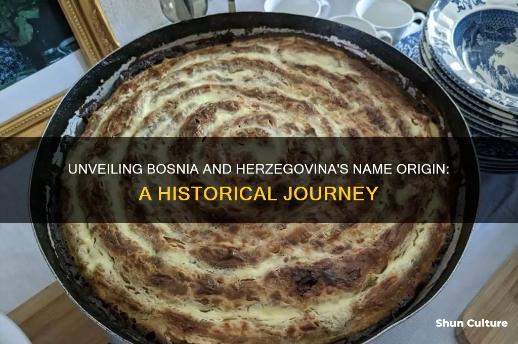 how did bosnia and herzegovina get its name