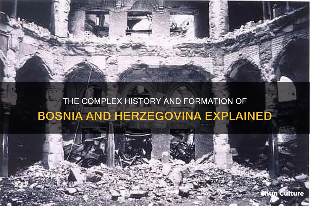 how did bosnia and herzegovina happen