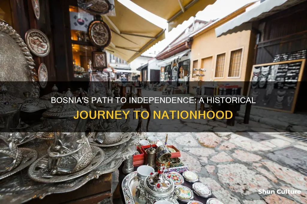 how did bosnia become a country
