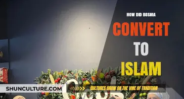Bosnia's Islamic Journey: Historical Factors Behind Its Conversion to Islam