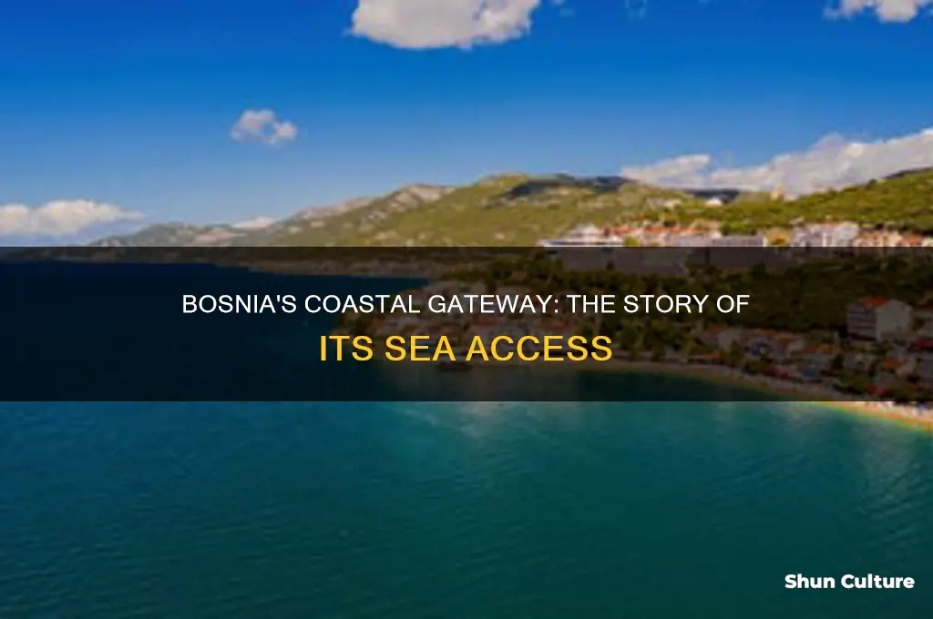 how did bosnia get sea access