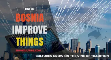 Bosnia's Transformation: Key Strategies for Economic and Social Revival