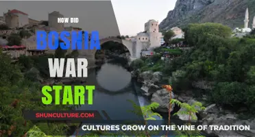The Spark of Conflict: Unraveling the Origins of Bosnia's War