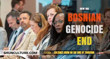 The End of the Bosnian Genocide: Peace, Justice, and Reconciliation