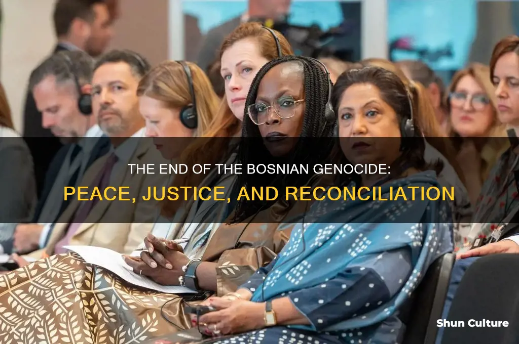 how did bosnian genocide end