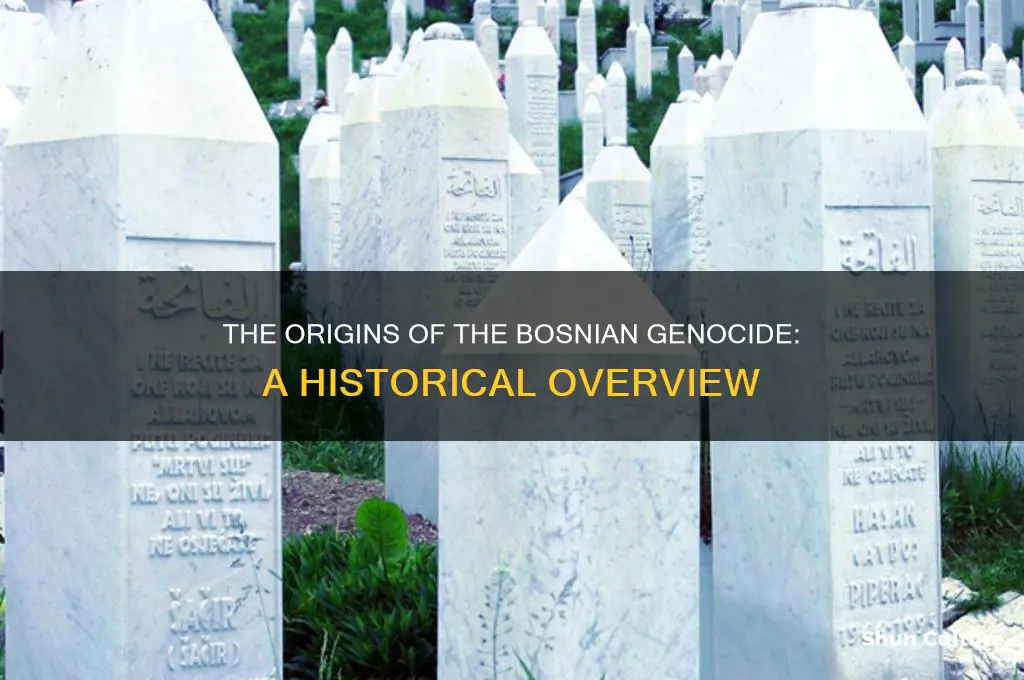how did bosnian genocide start