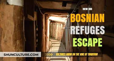 Bosnian Refugees' Escape: Stories of Survival and Resilience