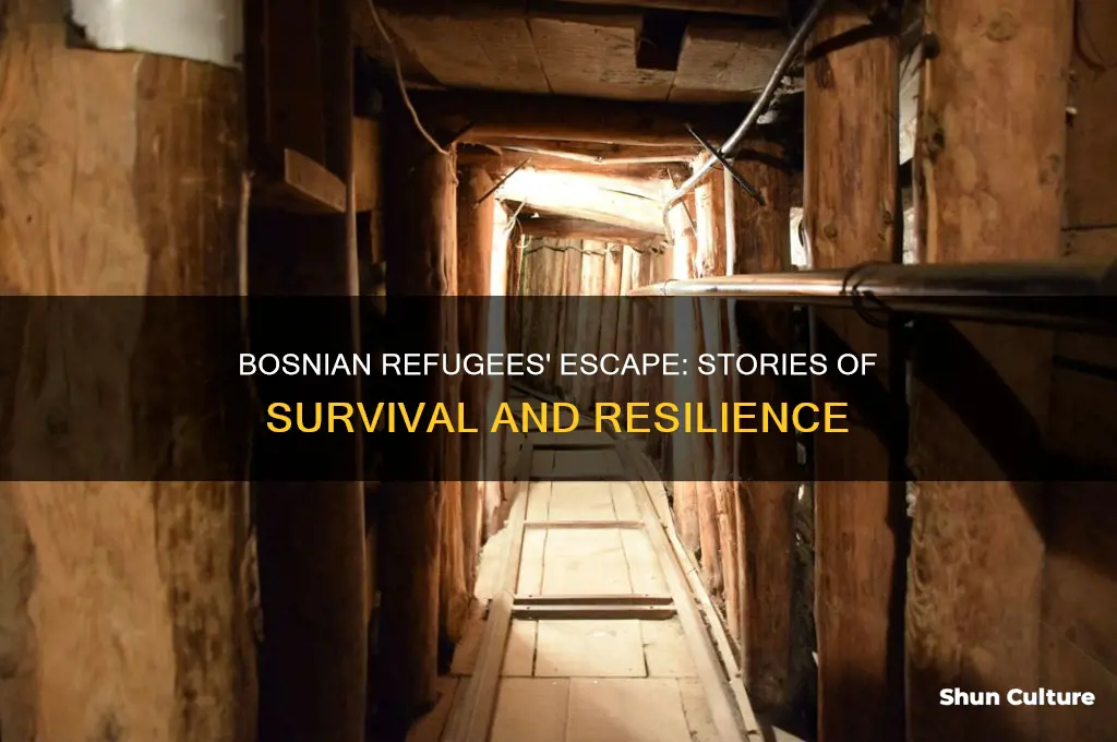 how did bosnian refuges escape