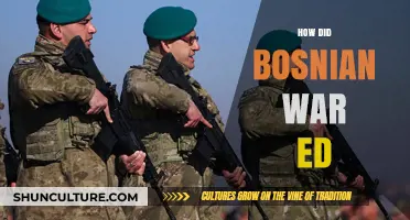 Understanding the Bosnian War's Impact: Causes, Consequences, and Legacy