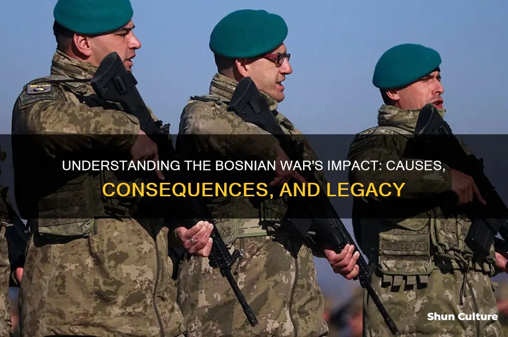 how did bosnian war ed