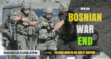 The Bosnian War's End: Peace Accords and International Intervention