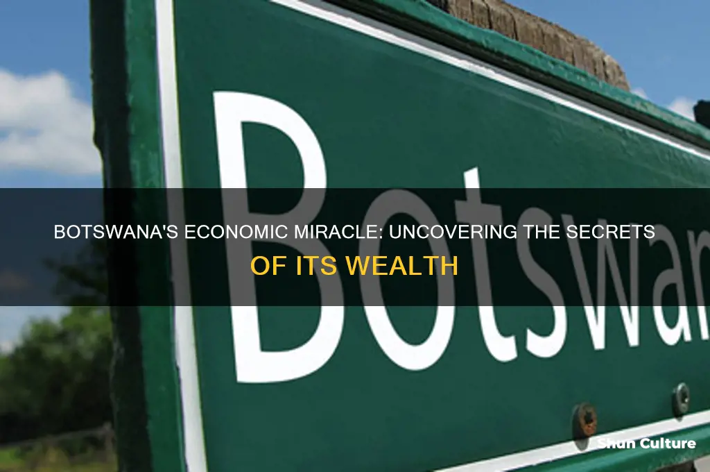 how did botswana become rich