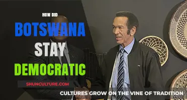 Botswana's Democratic Resilience: Unraveling the Secrets of Its Political Stability