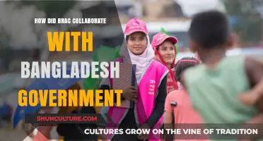BRAC and Bangladesh Government: A Collaborative Partnership for Development