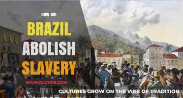 Brazil's Path to Freedom: The Abolition of Slavery Explained