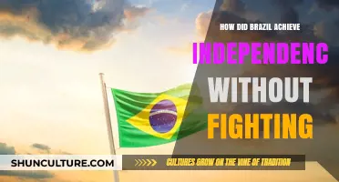 Brazil's Peaceful Path to Independence: A Unique Historical Journey