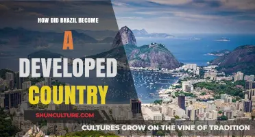 Brazil's Economic Transformation: Journey to a Developed Nation