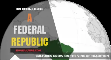 Brazil's Journey to Federal Republic: A Historical Transformation Explained