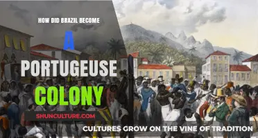 Brazil's Colonial Origins: The Rise of Portuguese Dominance