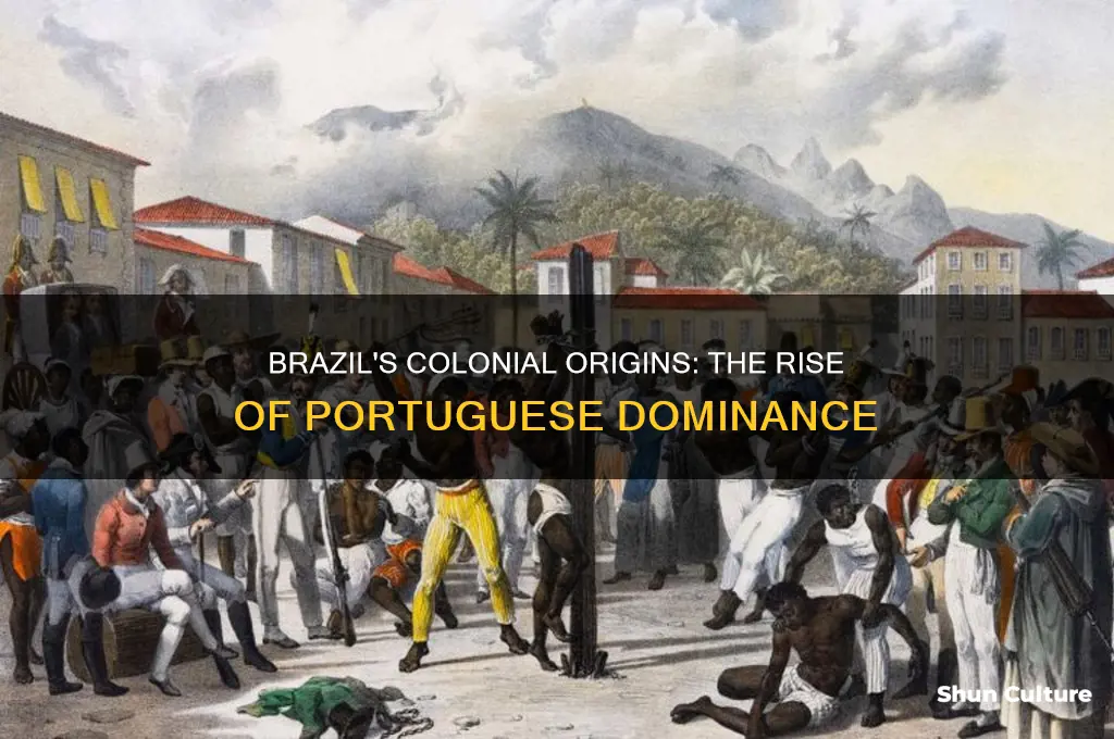 how did brazil become a portugeuse colony
