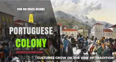 Brazil's Portuguese Colonization: A Historical Journey to Independence