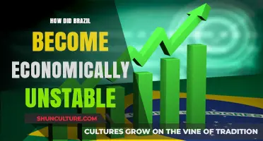 Brazil's Economic Instability: Causes, Consequences, and Path to Recovery