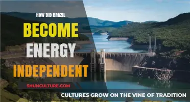 Brazil's Energy Independence: A Journey to Self-Sufficiency and Sustainability