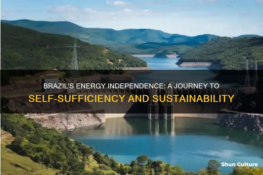 how did brazil become energy independent