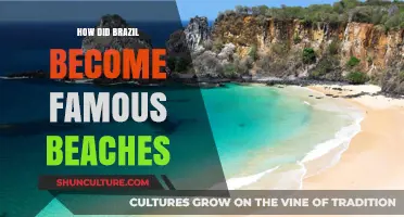 Brazil's Coastal Paradise: The Rise of Its World-Famous Beaches