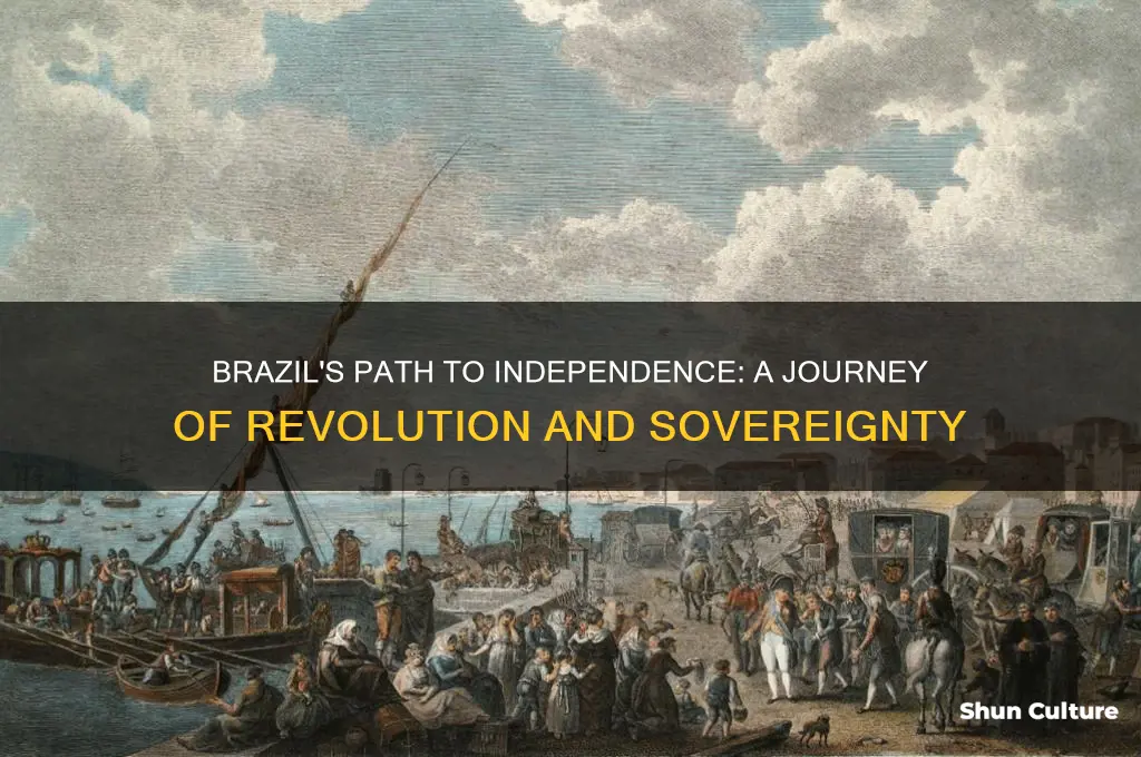 how did brazil become independanyt