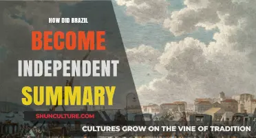 Brazil's Path to Independence: A Concise Historical Overview