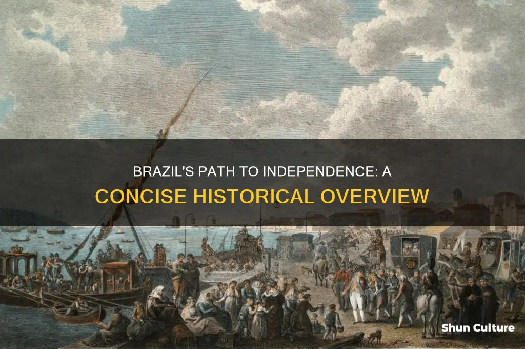 how did brazil become independent summary