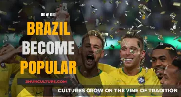 Brazil's Rise to Global Fame: Culture, Soccer, and Carnival Magic
