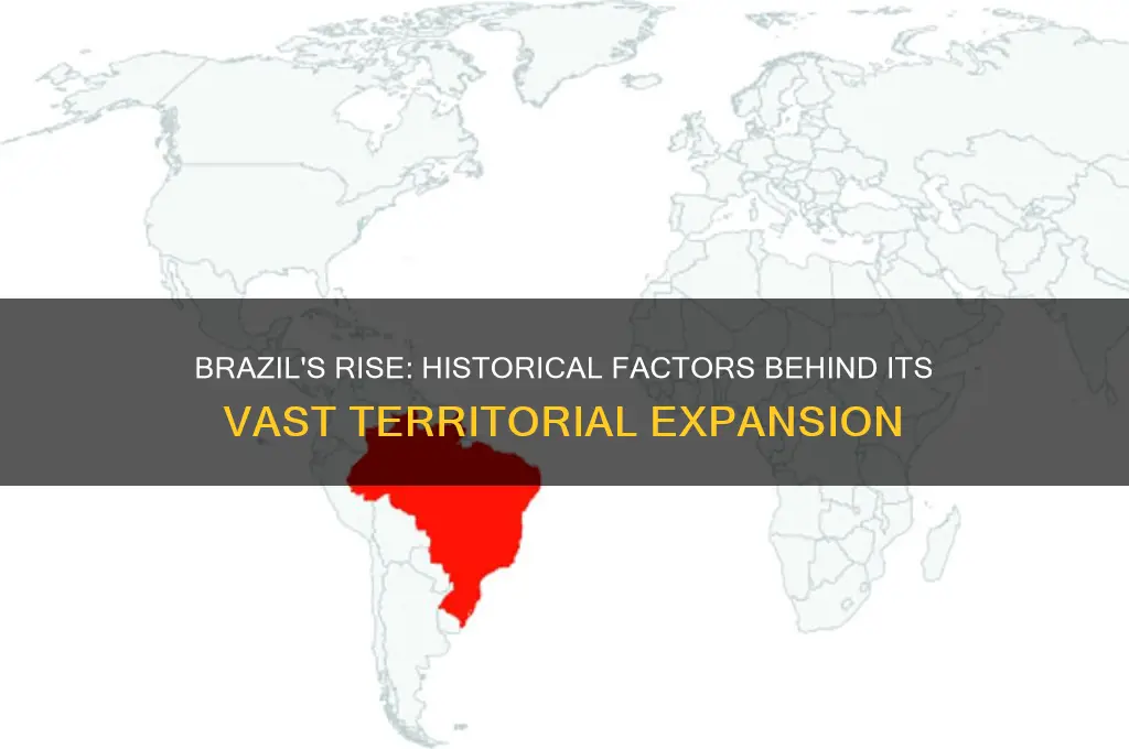 how did brazil become so big
