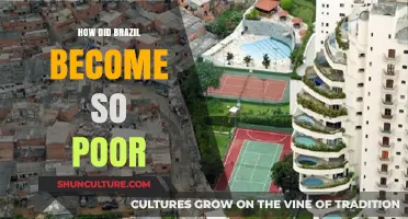 Brazil's Economic Decline: Unraveling the Roots of Widespread Poverty