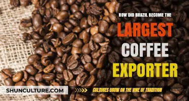 Brazil's Rise to Dominance in Global Coffee Exports