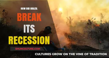 Brazil's Economic Revival: Strategies to Overcome Recession and Thrive