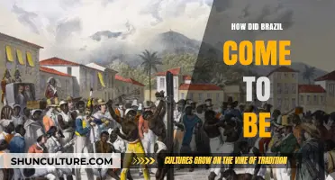 Brazil's Origins: A Journey Through History, Culture, and Colonization