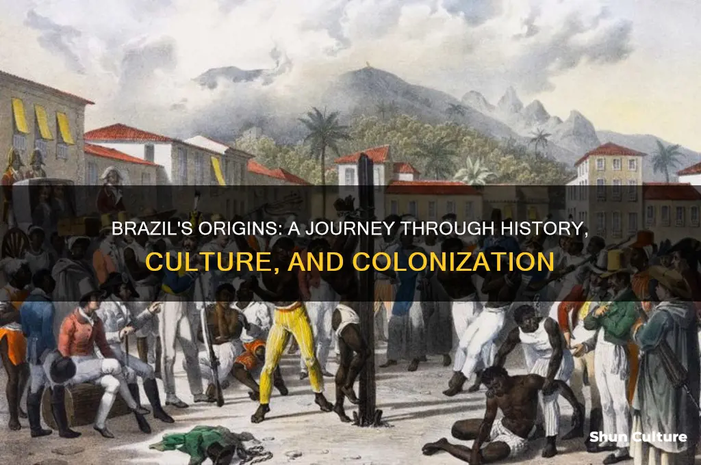 how did brazil come to be