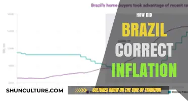 Brazil's Battle Against Inflation: Strategies for Economic Stability