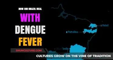 Brazil's Battle Against Dengue: Strategies and Successes in Combating the Fever