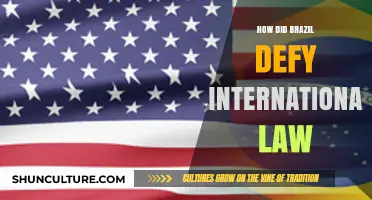 Brazil's Defiance: Violating International Law and Global Consequences