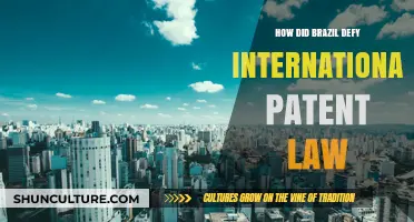 Brazil's Bold Move: Defying International Patent Law for Public Health