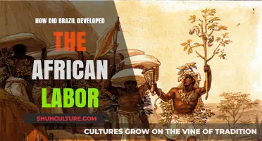 Brazil's African Labor Development: A Historical Journey of Enslavement and Influence