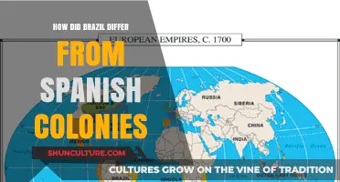 Brazil vs. Spanish Colonies: Unique Paths, Distinct Legacies in the Americas